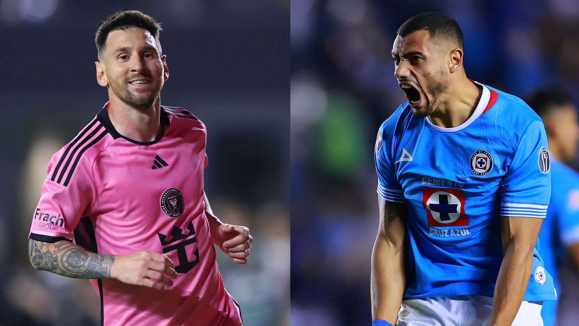 职业生涯的 职业生涯的